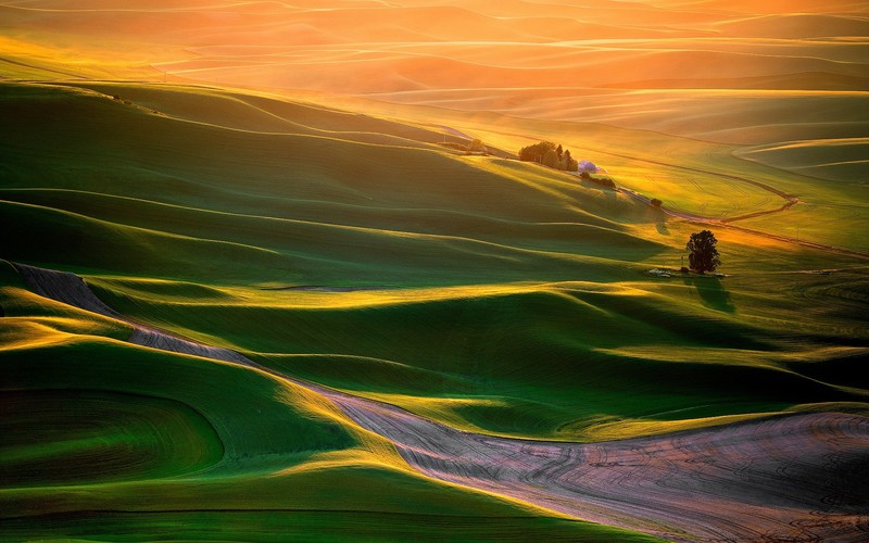 landscape, green, sunlight