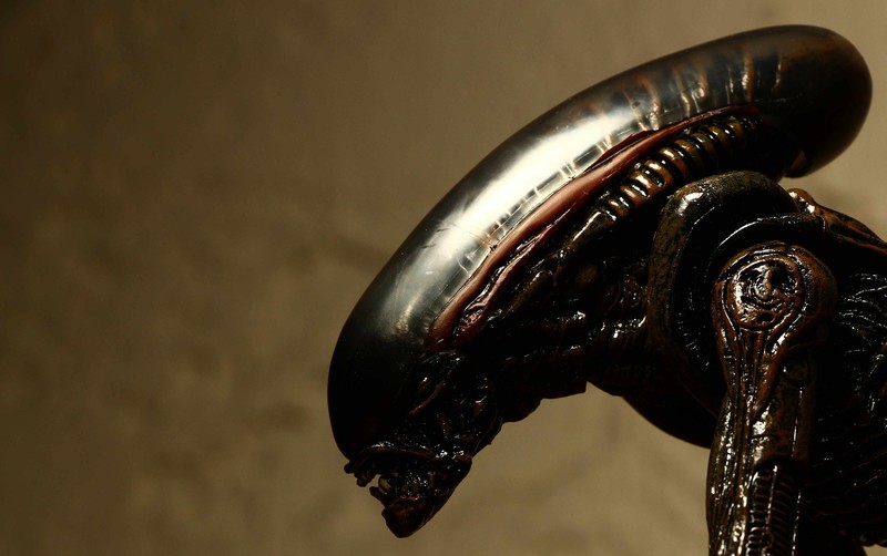 aliens, 500px, Xenomorph