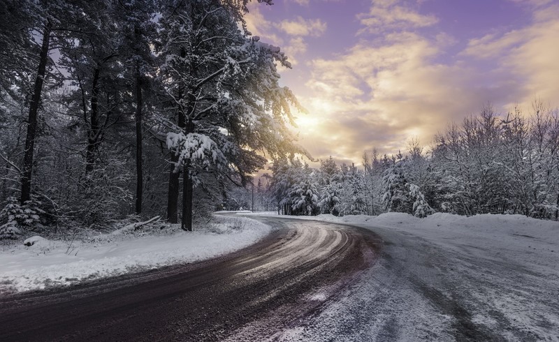winter, road, snow, trees