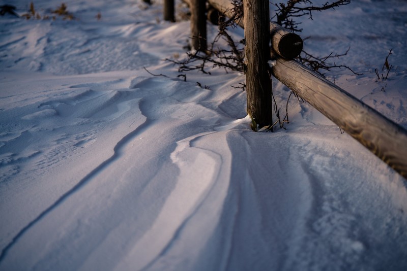 winter, snow, fence, depth of field