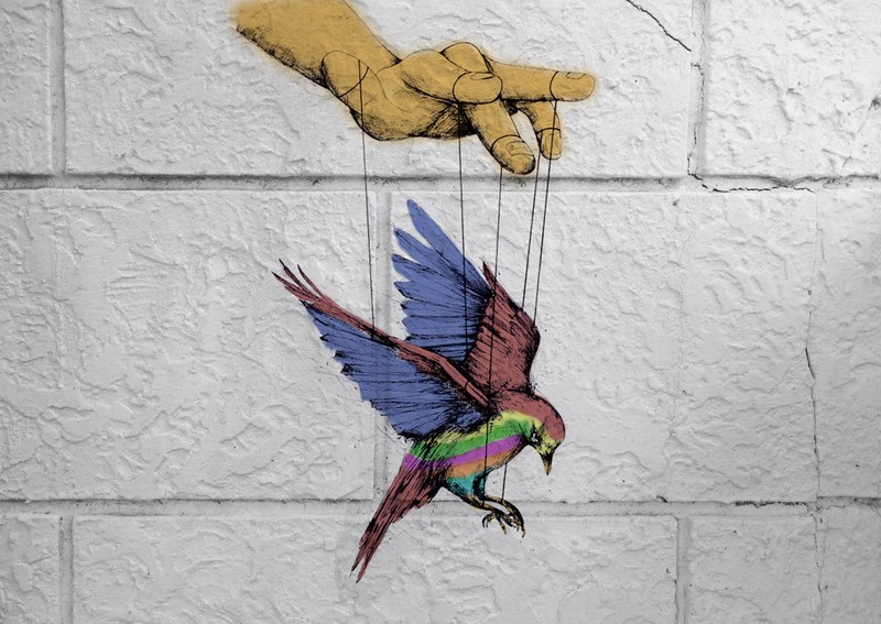 birds, colorful, puppets, freedom
