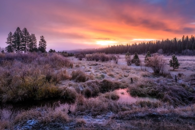 nature, sky, sunlight, landscape