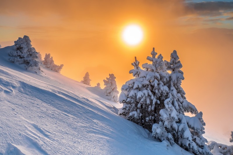 snow, winter, Sun, nature