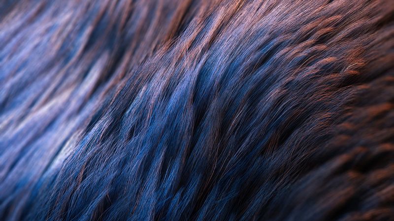 wool, texture, surface, macro, closeup, 4k