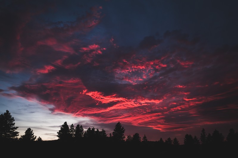 sky, forest, colorful, sunset, dark, nature, landscape