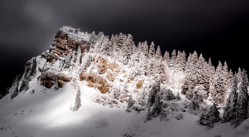 nature, snow, landscape, trees, winter