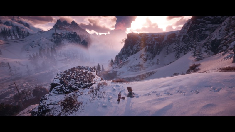 video games, horizon zero dawn, PlayStation 4, Horizon: Zero Dawn