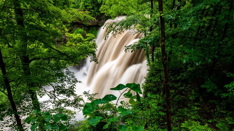 waterfall, forest, trees, bushes, greens, 4k