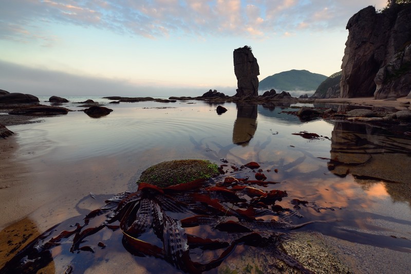 nature, water, rock