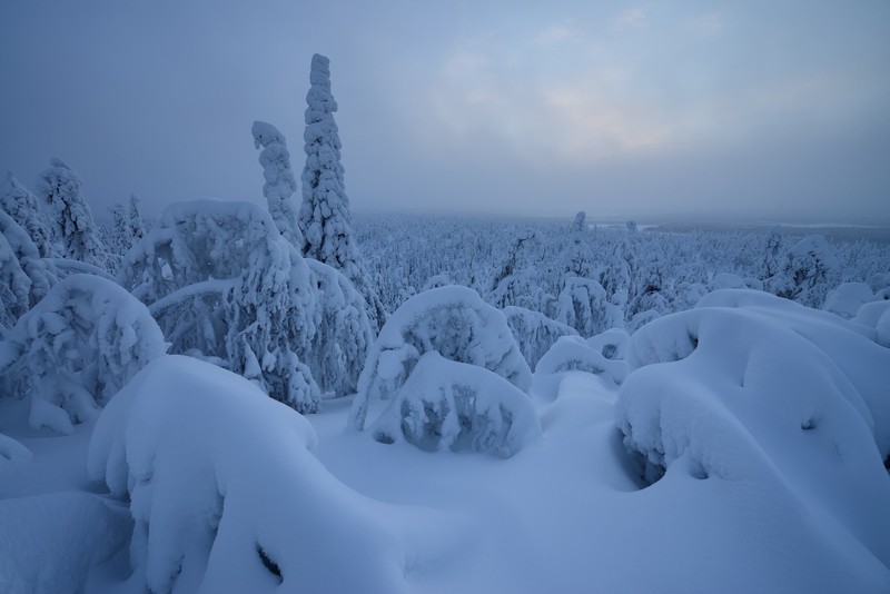 Finland, nature, snow, winter