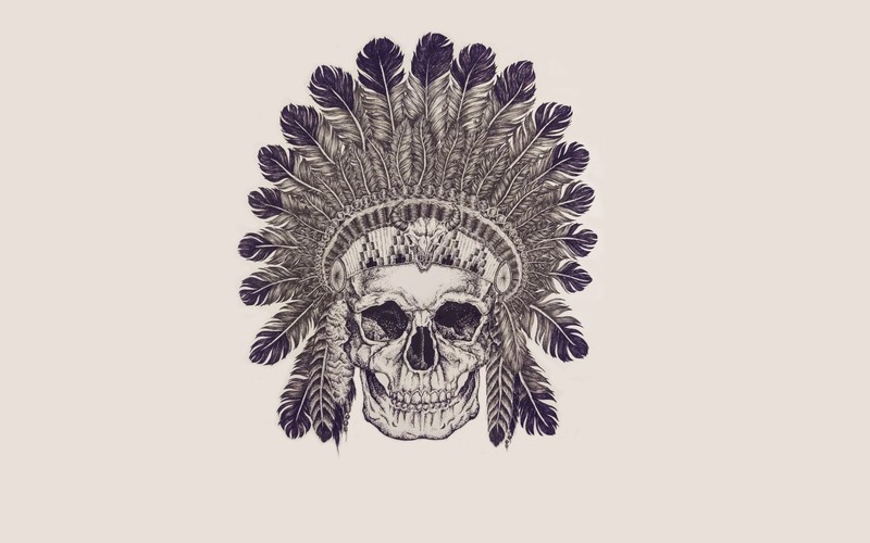 skull, Indian, monochrome, beige
