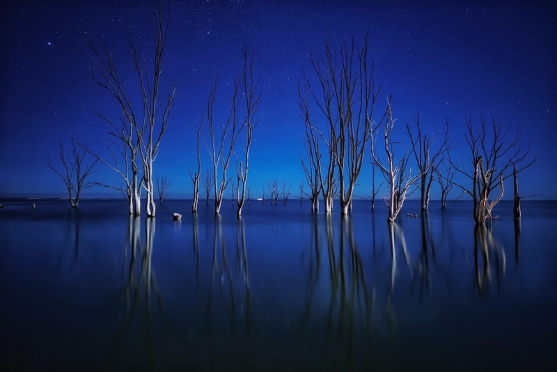 nature, dark, blue, water, trees