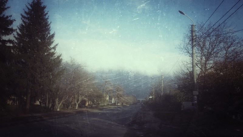 landscape, road, trees
