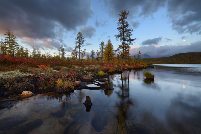 water, nature, landscape, trees, fall