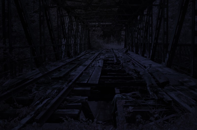 dark, cats, bridge