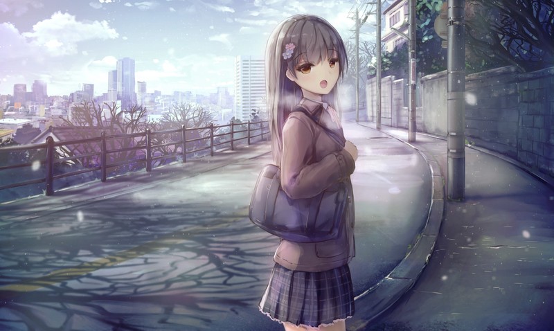 schoolgirl, long hair, hair ornament, anime girls