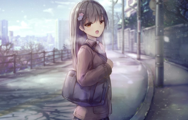 schoolgirl, long hair, hair ornament, anime girls
