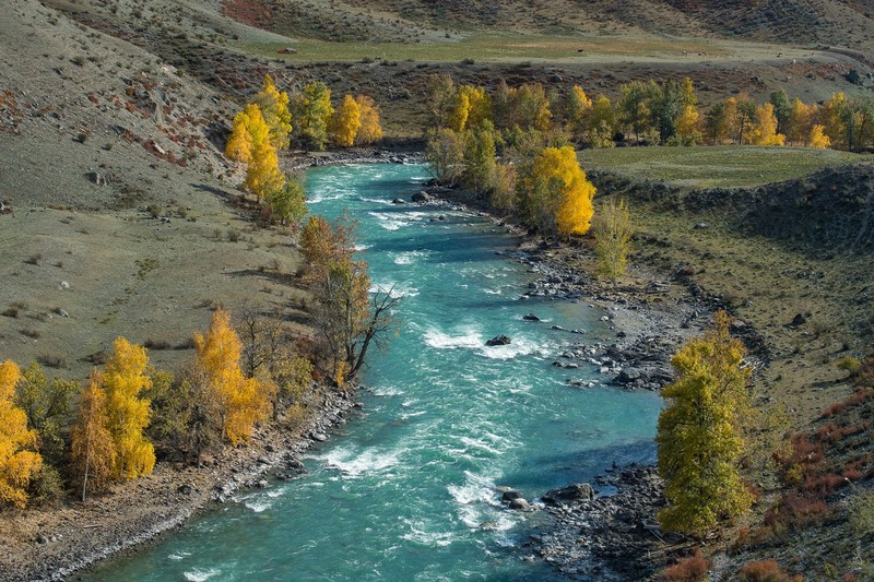 landscape, nature, river, trees, water