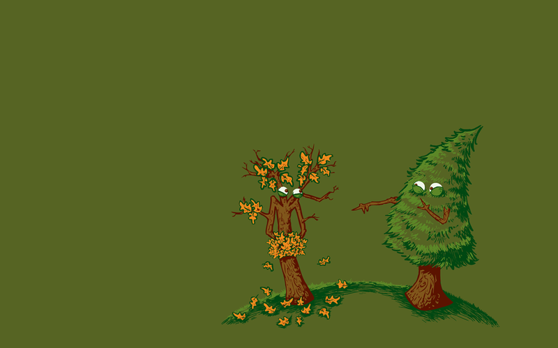 fall, green, pine trees, humor