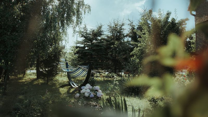 hammock, grass, vegetation, nature, 4k
