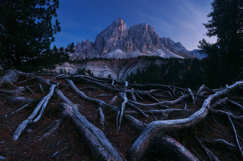 dark, mountains, nature, wood, trees, roots, night
