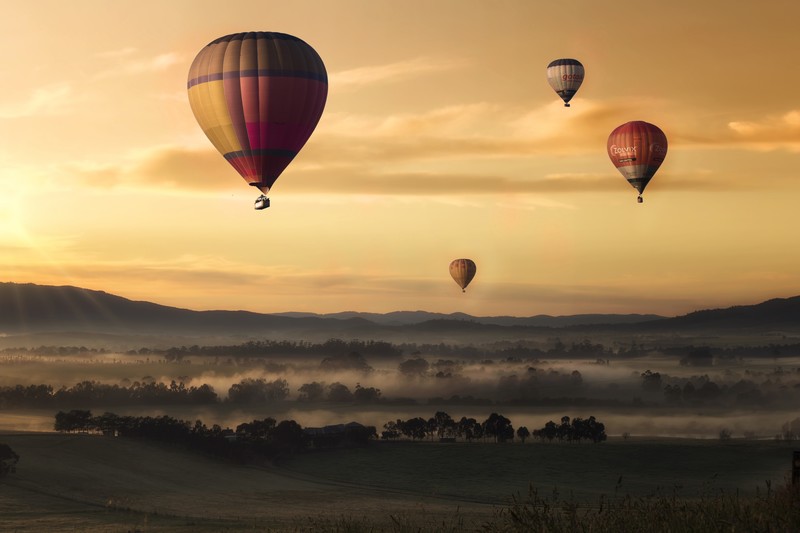 nature, sky, clouds, Sun, grass, hot air balloons, photography