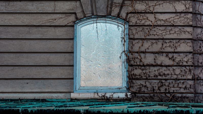 window, wall, branches, facade, 4k