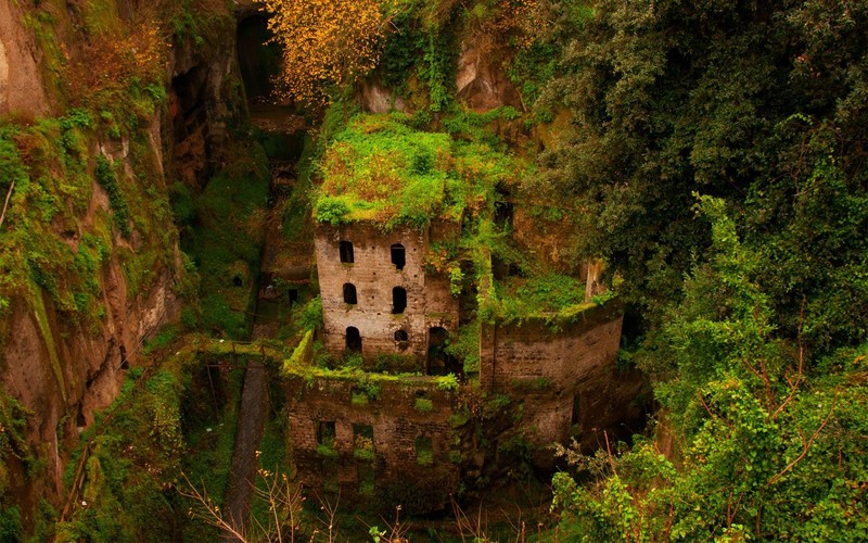 photography, abandoned, building, old building, ruin, overgrown, trees, monastery, Italy, valley
