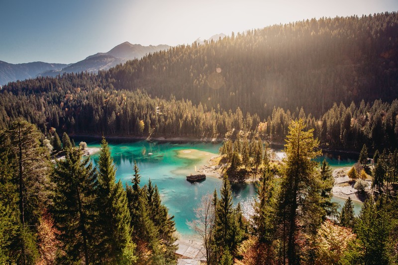 forest, water, blue, trees, landscape