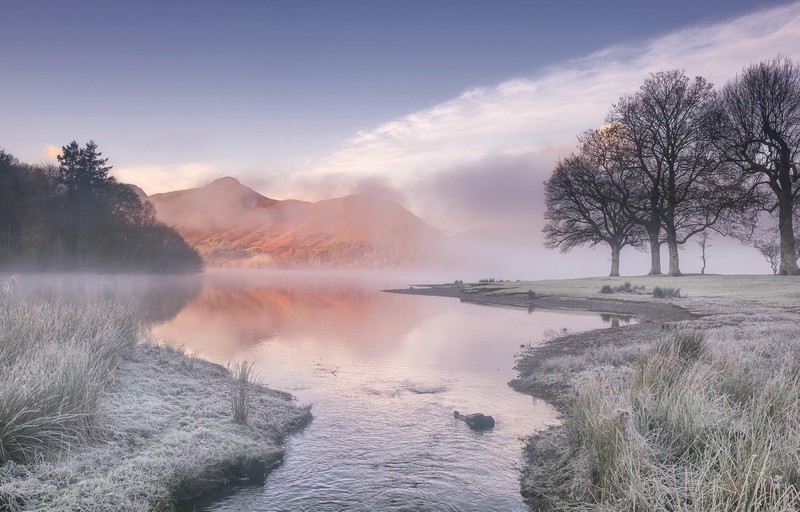 landscape, mountains, trees, sky, clouds, winter, mist