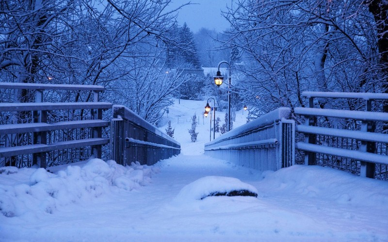 winter, snow, landscape, bridge