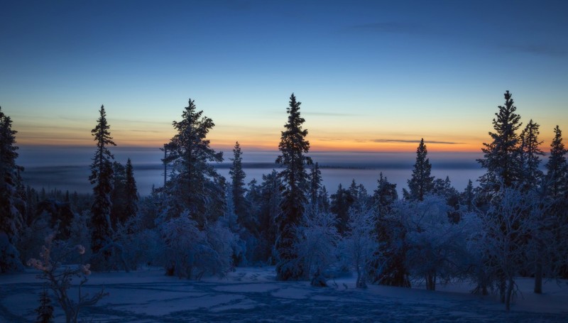 dark, winter, sky, nature, landscape, trees