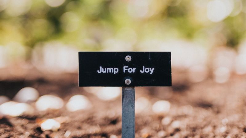 happiness, cheerful, inscription, plate, positive, 4k