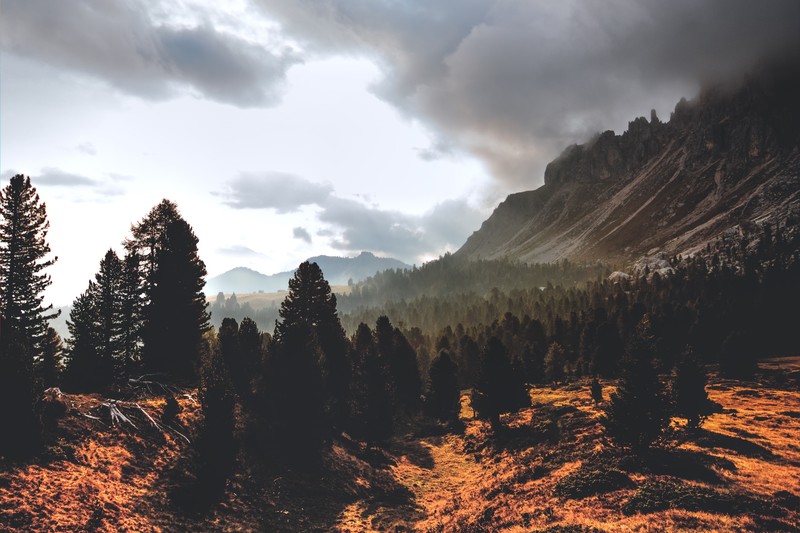 photography, sky, trees, mountains, landscape, clouds