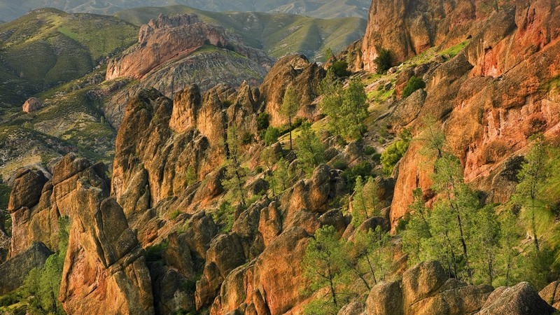 landscape, nature, trees, rock