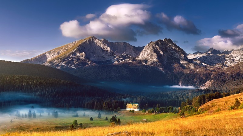 landscape, mountains, nature, mist, clouds, trees, forest, field