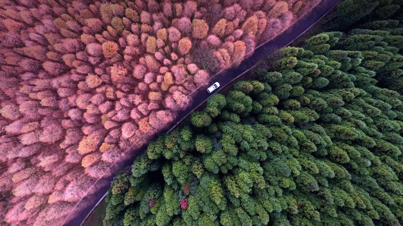 landscape, aerial view, colorful