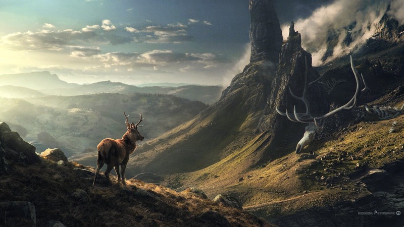 sky, deer, mountains, Desktopography, Lukasz Wiktorzak