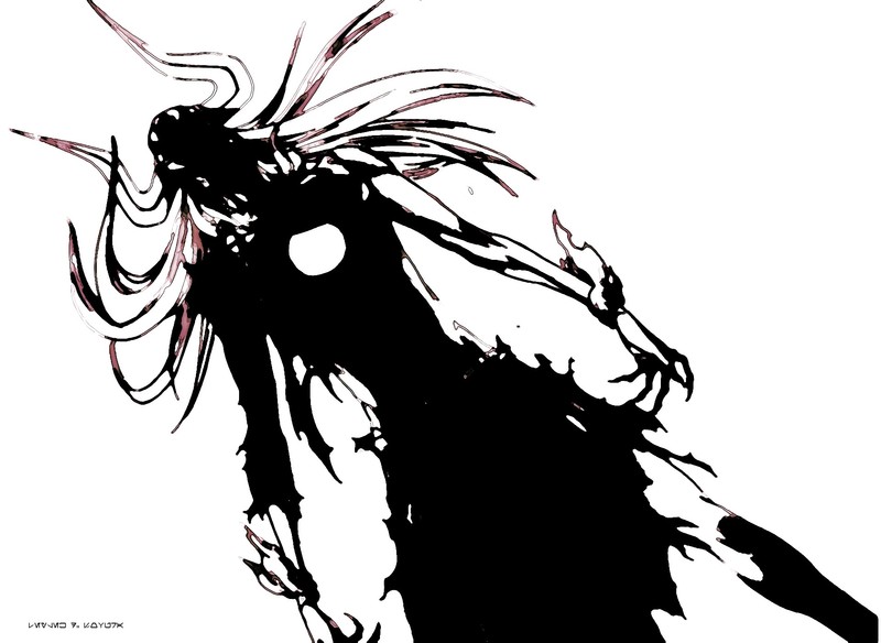 Leylek.D.Sovura, Bleach, Vasto Lorde, artwork, Kurosaki Ichigo, bankai