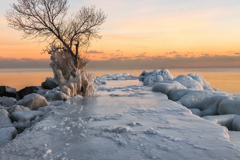 nature, ice, snow, winter