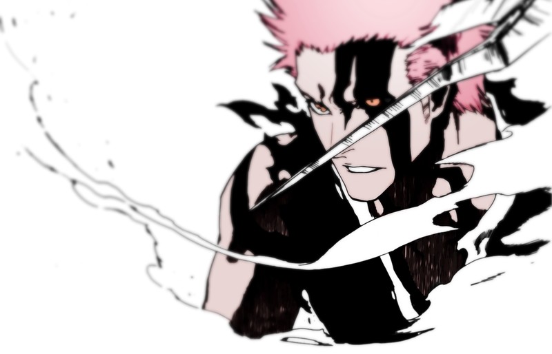 Leylek.D.Sovura, artwork, Bleach, Kurosaki Ichigo, bankai