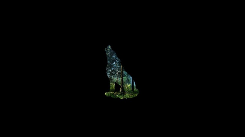 nature, animals, trees, forest, wolf, black background, plants, silhouette, minimalism