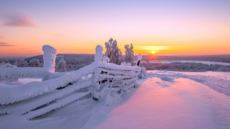 Sun, winter, sunlight, snow