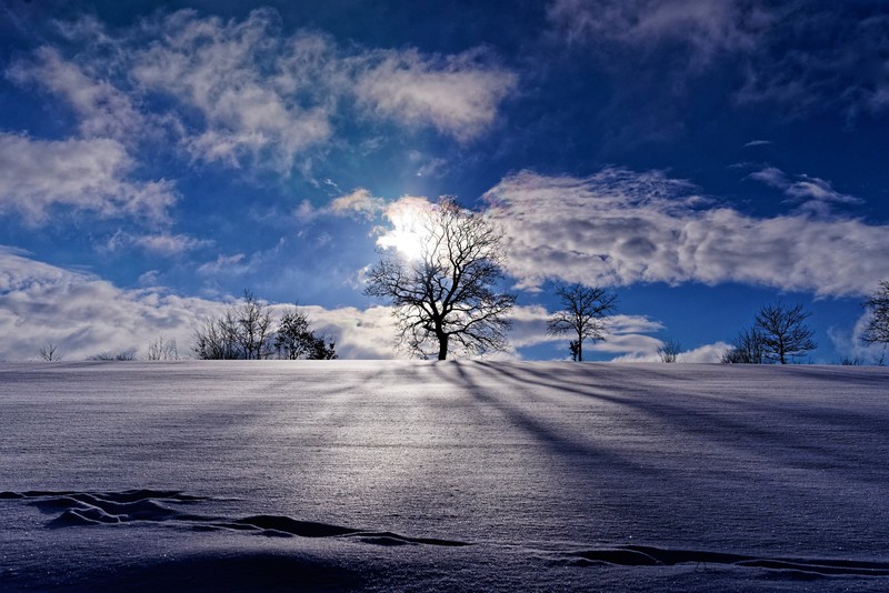 landscape, nature, blue, sky, winter, snow, trees