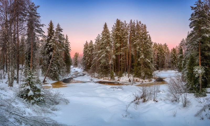 nature, snow, landscape, winter, river, forest