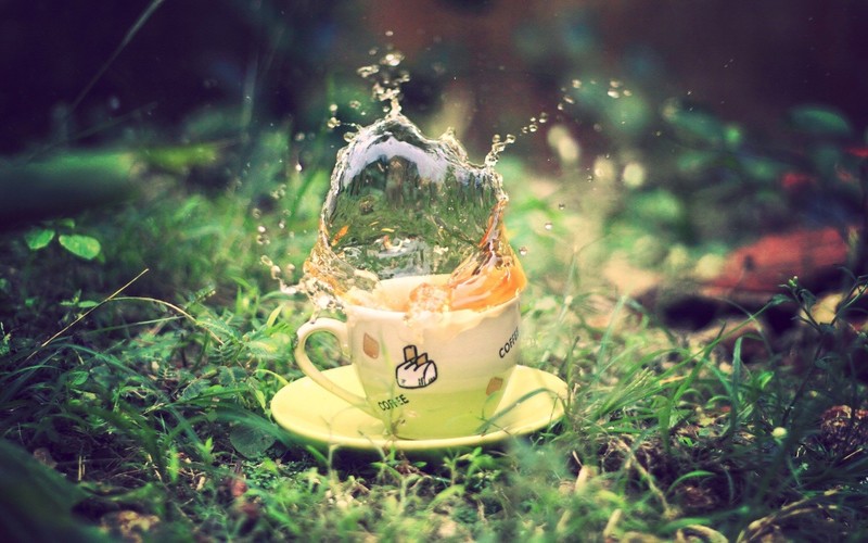 grass, water, macro, cup, water drops