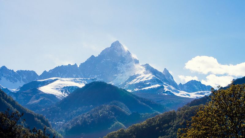 mountains, forest, landscape, trees, peak, mountain range, 4k