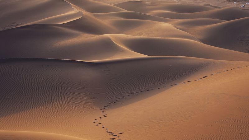 desert, dunes, sand, traces, landscape, 4k
