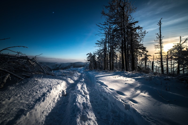 snow, winter, landscape, path, trees, sky
