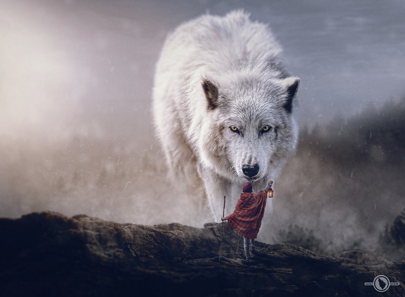 wolf, digital art